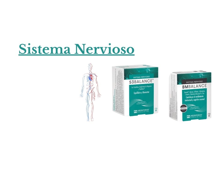 Sistema Nervioso foto prueba